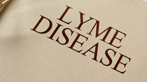 guida alla malattia di Lyme