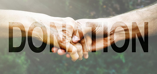 Donazione Asssociazione Lyme Italia